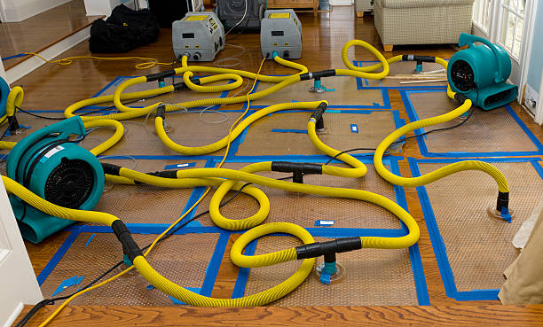 Professional Water Damage Repair technician working in Oakville, CT